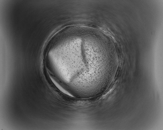 X0000092240101200710121244