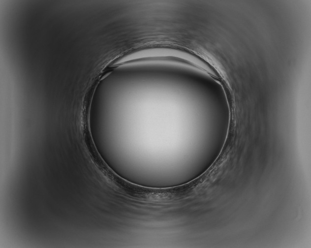 X0000092240105200710121244