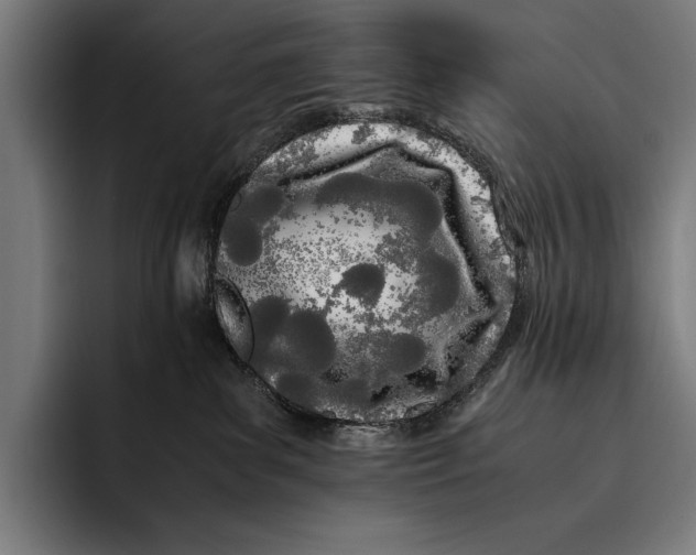 X0000092240139200710121243