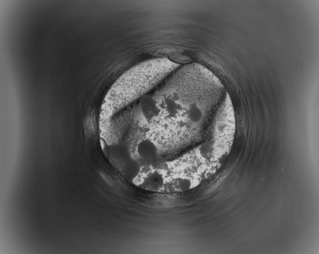 X0000092240143200710121243