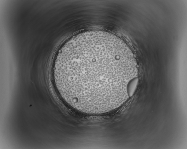 X0000092240145200710121243