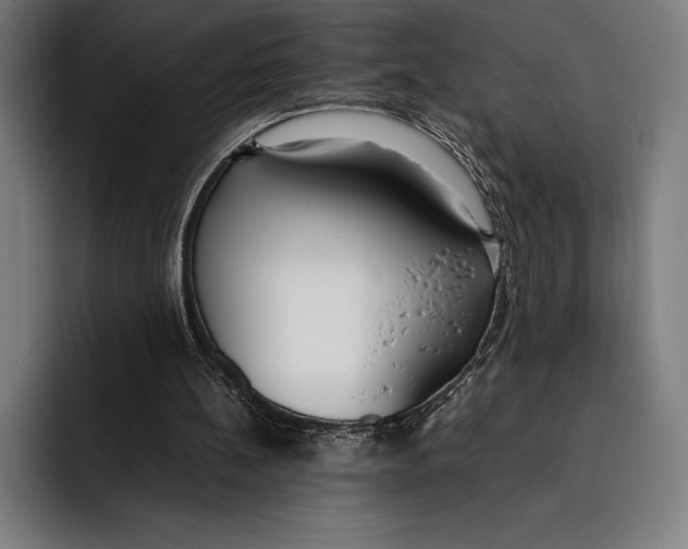 X0000092240148200710121243