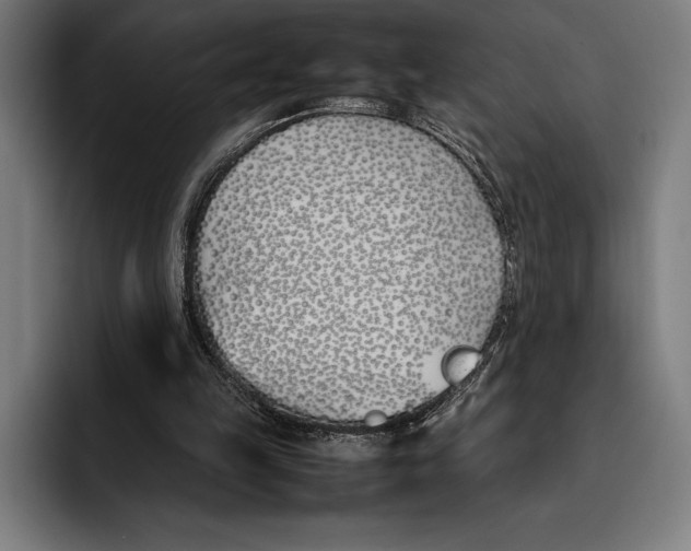 X0000092240149200710121243