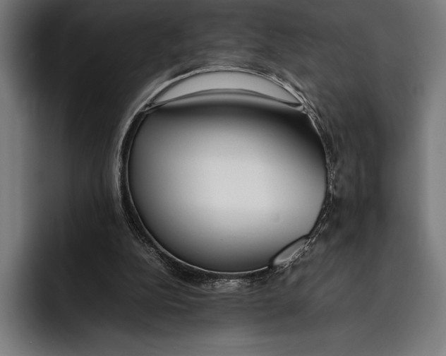 X0000092240152200710121243