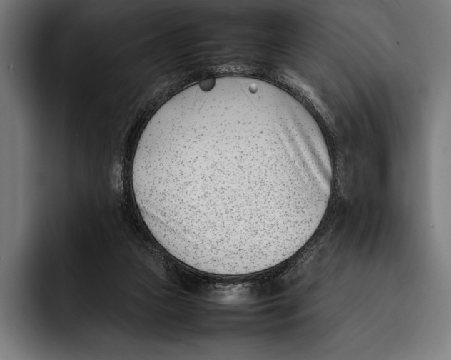 X0000092240161200710121243