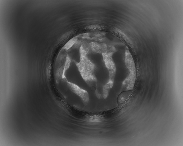X0000092240163200710121243
