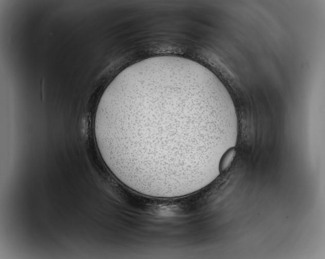 X0000092240165200710121243