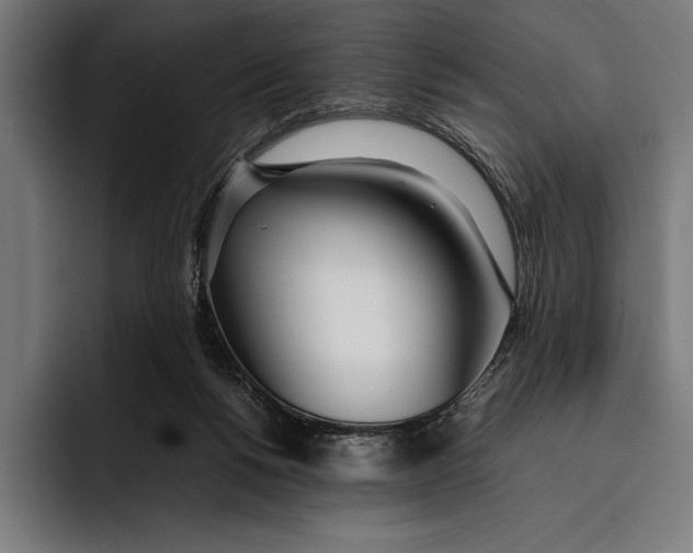 X0000092240168200710121243