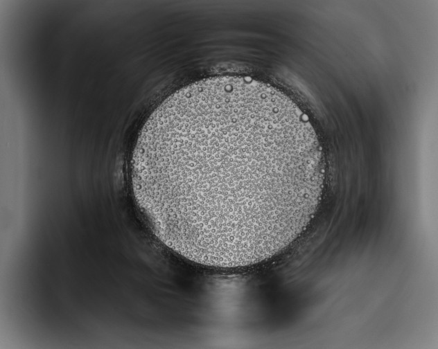 X0000092240169200710121243