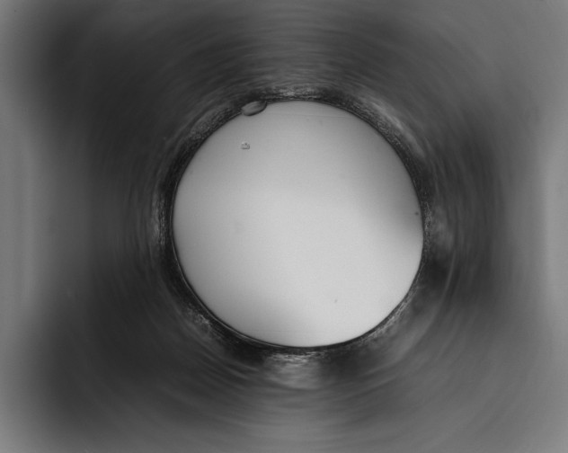 X0000092240170200710121243