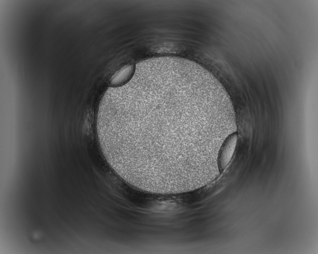 X0000092240175200710121243