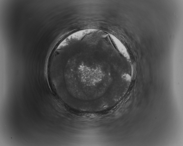 X0000092240195200710121243