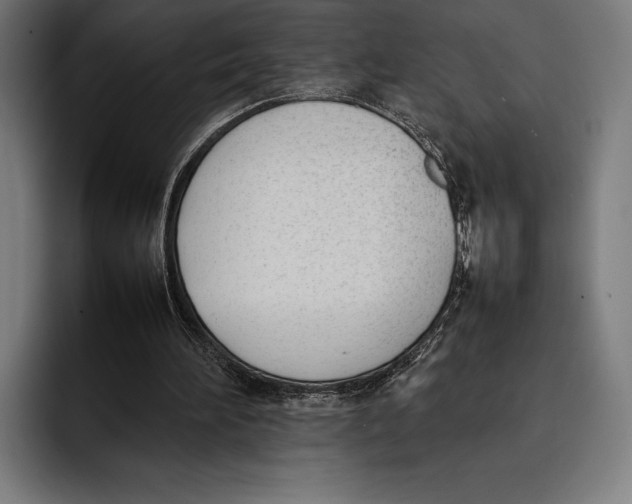 X0000092240196200710121243