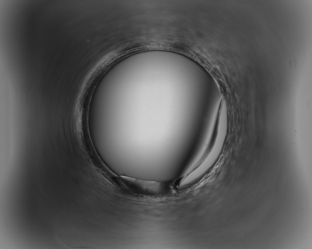 X0000092240197200710121243