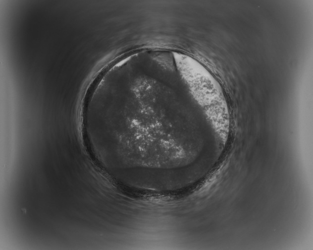 X0000092240199200710121243