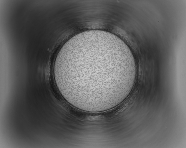 X0000092240202200710121242