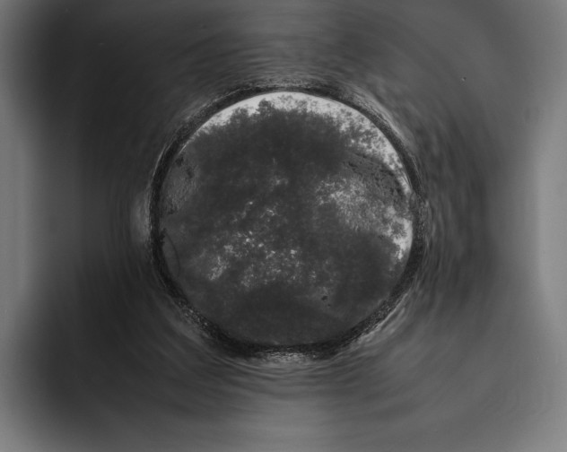 X0000092240203200710121242