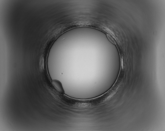 X0000092240205200710121242