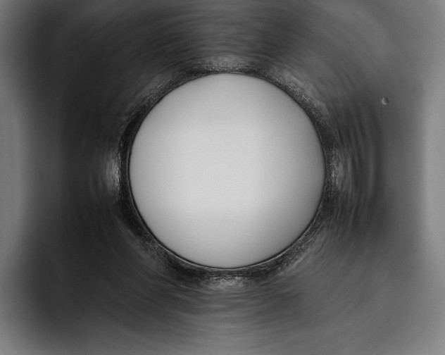 X0000092240206200710121242