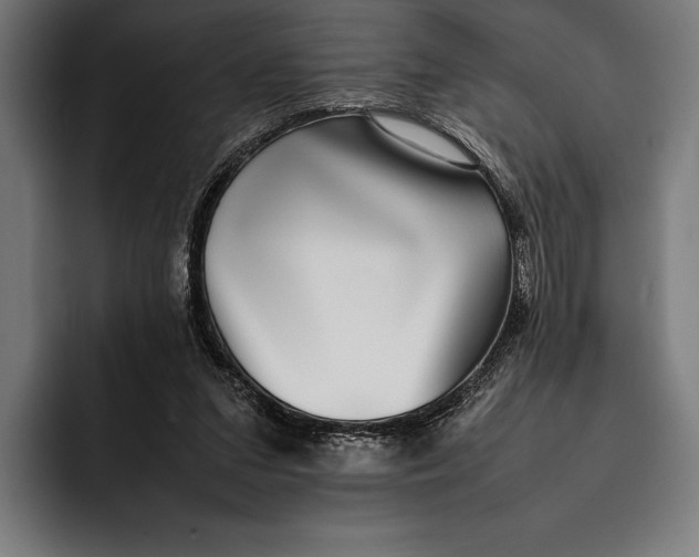X0000092240207200710121242