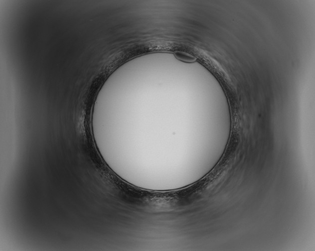 X0000092240209200710121242