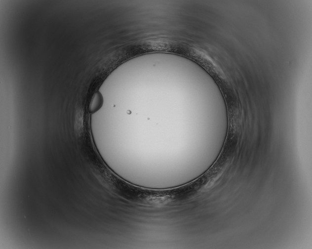X0000092240213200710121242