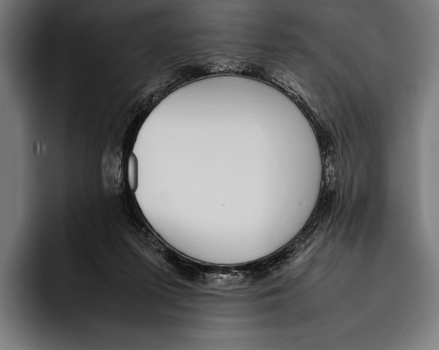 X0000092240215200710121242