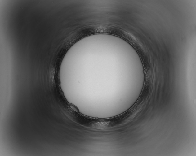 X0000092240217200710121242