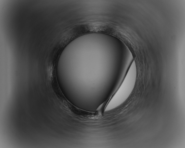 X0000092240219200710121242