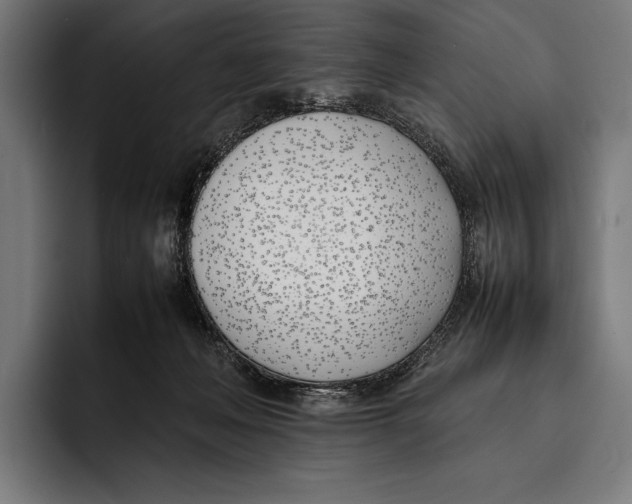 X0000092240222200710121242