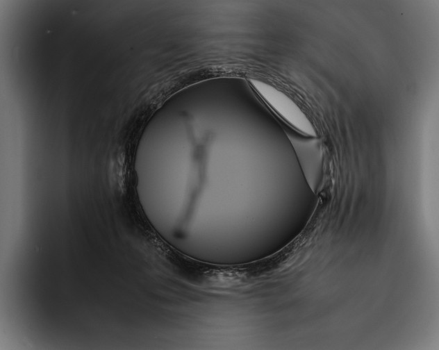 X0000092240223200710121242