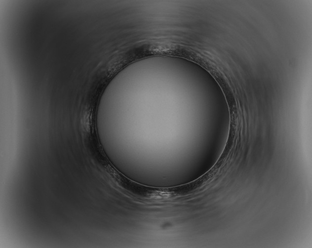 X0000092240227200710121242
