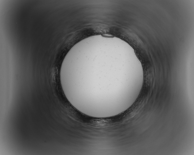 X0000092240229200710121242