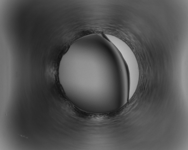 X0000092240235200710121242