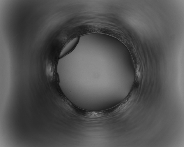 X0000092240239200710121242