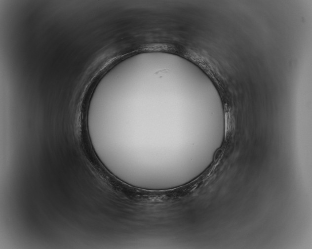 X0000092240243200710121242