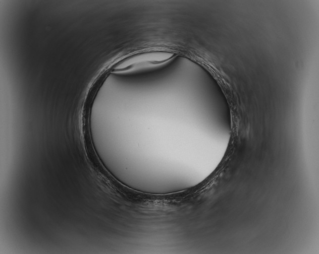 X0000092240244200710121242