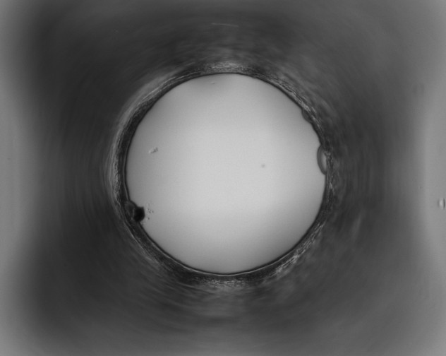 X0000092240245200710121242