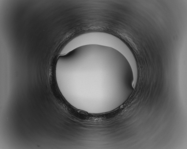 X0000092240260200710121242