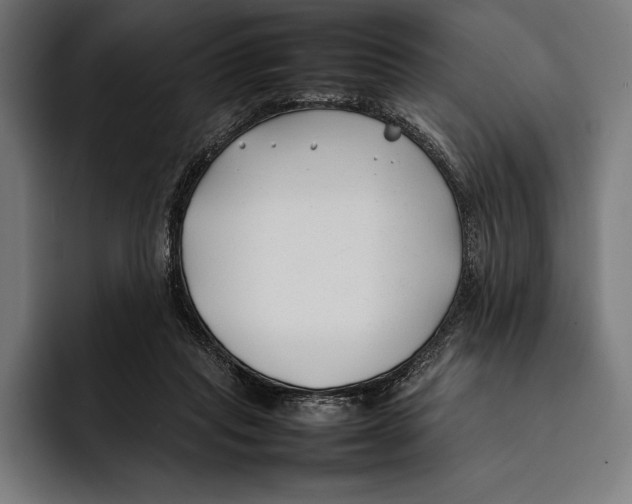 X0000092240261200710121242