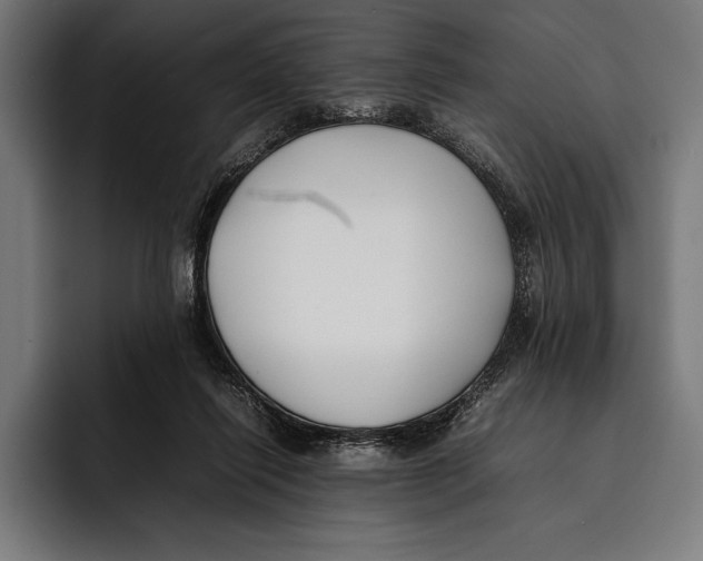 X0000092240262200710121242