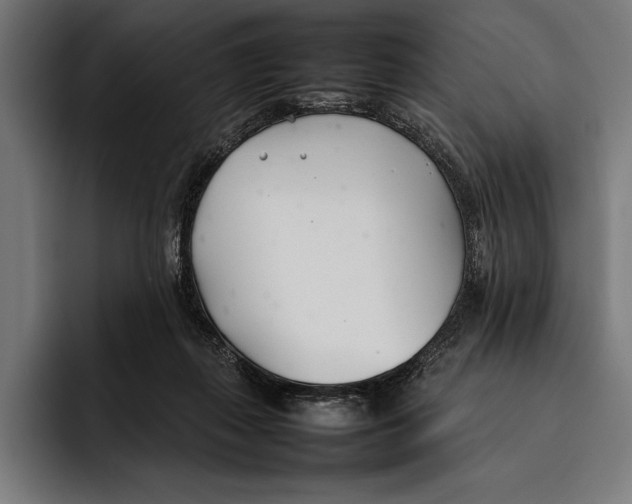 X0000092240267200710121242