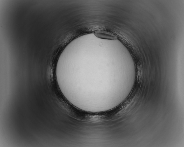 X0000092240268200710121242