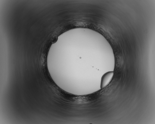 X0000092240273200710121242