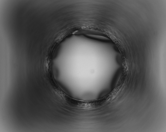 X0000092240276200710121242