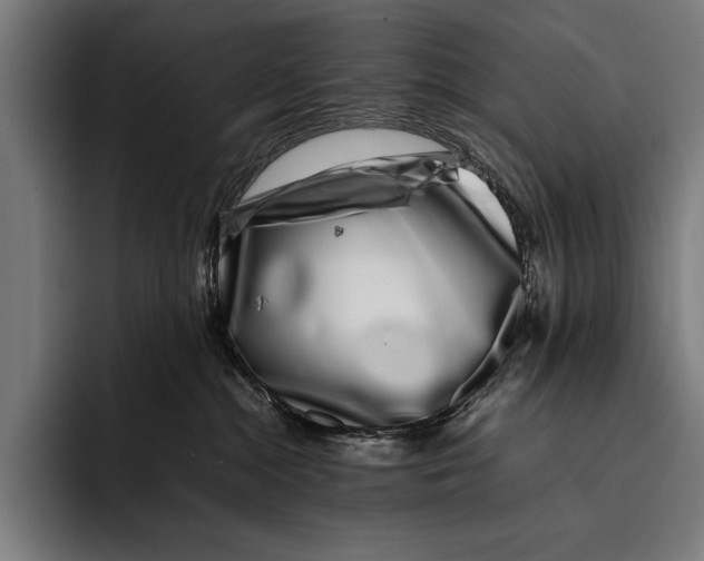 X0000092240284200710121242