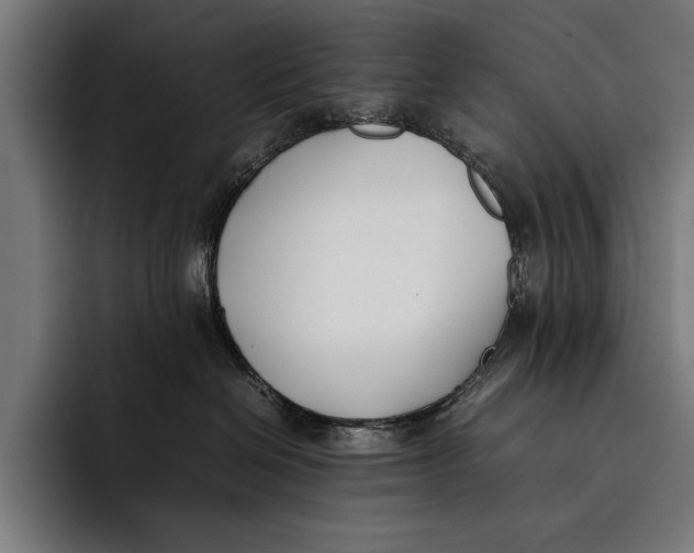 X0000092240286200710121242