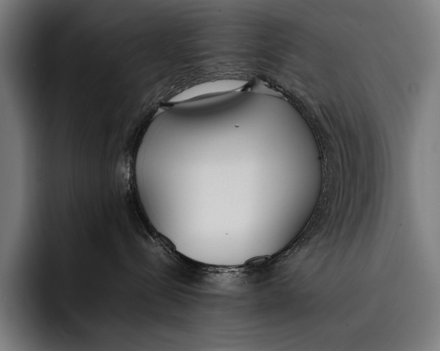 X0000092240288200710121242