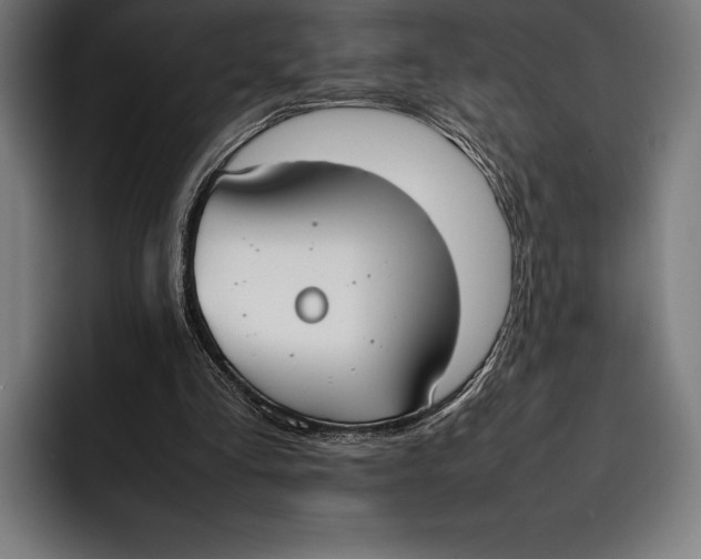 X0000092240293200710121241