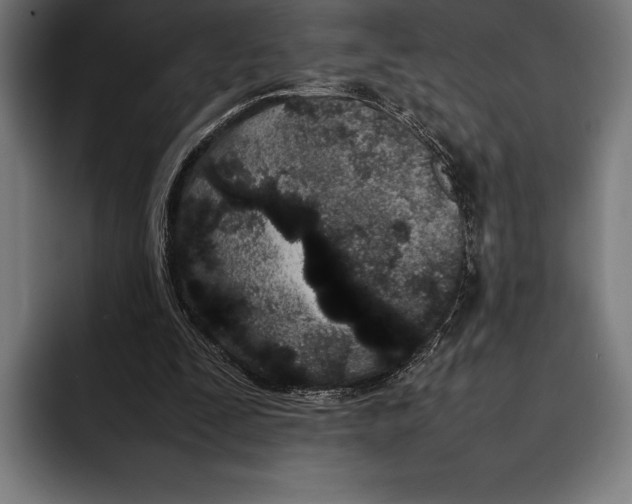 X0000092240295200710121241